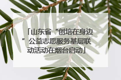 山东省“创培在身边”公益志愿服务基层联动活动在烟台启动