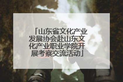 山东省文化产业发展协会赴山东文化产业职业学院开展考察交流活动