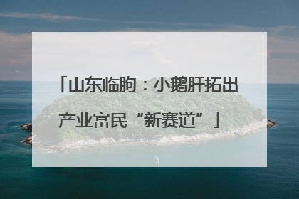山东临朐：小鹅肝拓出产业富民“新赛道”