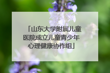 山东大学附属儿童医院成立儿童青少年心理健康协作组