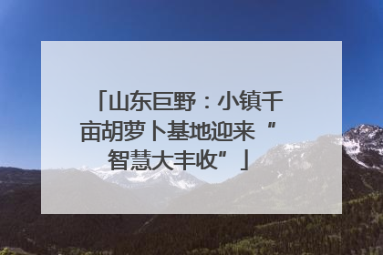 山东巨野：小镇千亩胡萝卜基地迎来“智慧大丰收”