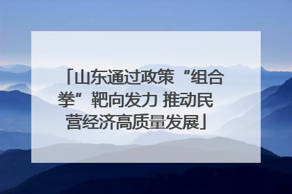 山东通过政策“组合拳”靶向发力 推动民营经济高质量发展