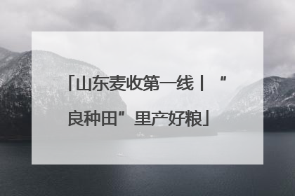 山东麦收第一线丨“良种田”里产好粮