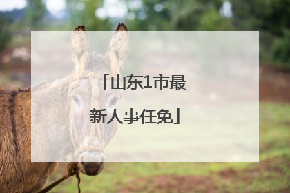 山东1市最新人事任免