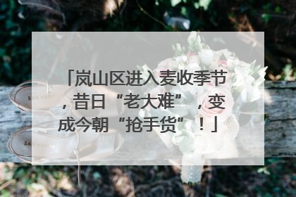 岚山区进入麦收季节，昔日“老大难”，变成今朝“抢手货”！