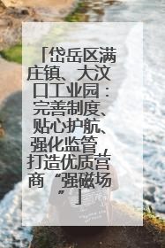 岱岳区满庄镇、大汶口工业园：完善制度、贴心护航、强化监管，打造优质营商“强磁场”