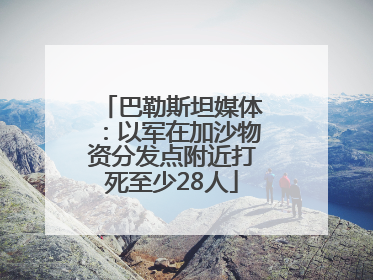 巴勒斯坦媒体：以军在加沙物资分发点附近打死至少28人