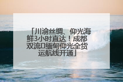 川渝丝绸、仰光海鲜3小时直达！成都双流⇌缅甸仰光全货运航线开通