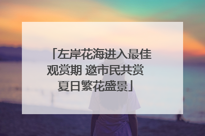 左岸花海进入最佳观赏期 邀市民共赏夏日繁花盛景