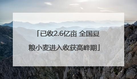 已收2.6亿亩 全国夏粮小麦进入收获高峰期