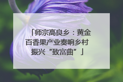 师宗高良乡：黄金百香果产业奏响乡村振兴“致富曲”