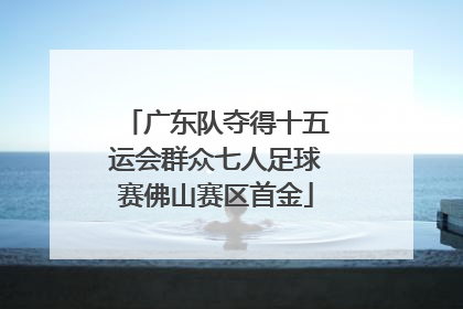 广东队夺得十五运会群众七人足球赛佛山赛区首金