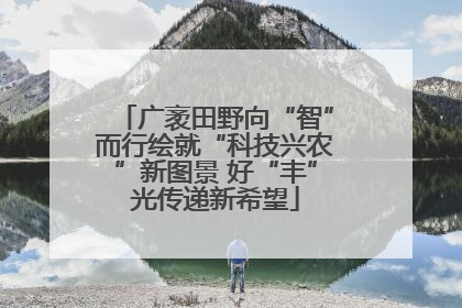 广袤田野向“智”而行绘就“科技兴农”新图景 好“丰”光传递新希望