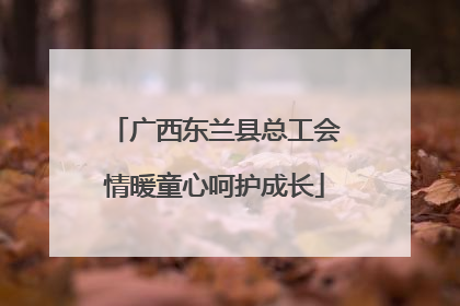 广西东兰县总工会情暖童心呵护成长