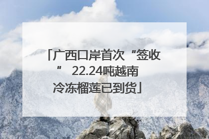 广西口岸首次“签收” 22.24吨越南冷冻榴莲已到货