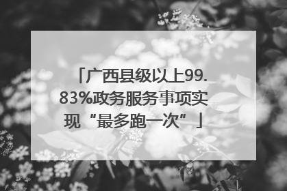 广西县级以上99.83%政务服务事项实现“最多跑一次”
