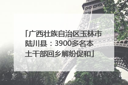 广西壮族自治区玉林市陆川县：3900多名本土干部回乡解纷促和