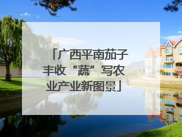 广西平南茄子丰收“蔬”写农业产业新图景