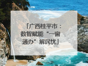 广西桂平市：数智赋能“一窗通办”解民忧