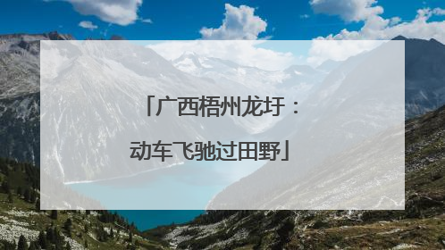 广西梧州龙圩：动车飞驰过田野