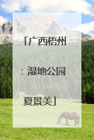广西梧州：湿地公园夏景美