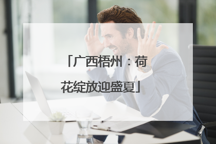 广西梧州：荷花绽放迎盛夏