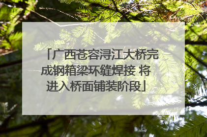 广西苍容浔江大桥完成钢箱梁环缝焊接 将进入桥面铺装阶段