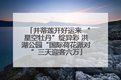 并蒂莲开好运来 “星空牡丹”绽异彩 洪湖公园“国际荷花派对”三天迎客六万