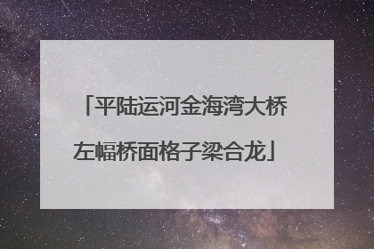平陆运河金海湾大桥左幅桥面格子梁合龙