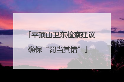 平顶山卫东检察建议确保“罚当其错”