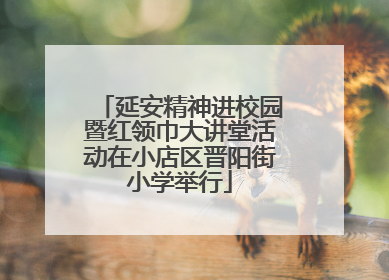 延安精神进校园暨红领巾大讲堂活动在小店区晋阳街小学举行