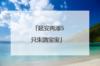 延安再添5只朱鹮宝宝