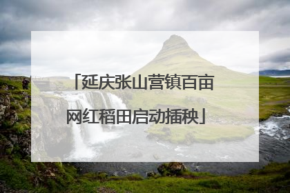 延庆张山营镇百亩网红稻田启动插秧