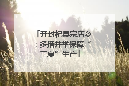 开封杞县宗店乡：多措并举保障“三夏”生产