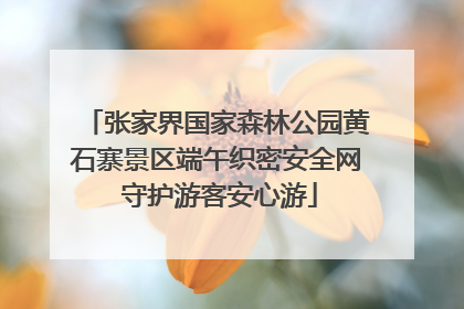 张家界国家森林公园黄石寨景区端午织密安全网 守护游客安心游
