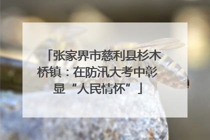 张家界市慈利县杉木桥镇：在防汛大考中彰显“人民情怀”