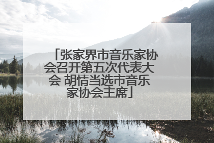 张家界市音乐家协会召开第五次代表大会 胡情当选市音乐家协会主席