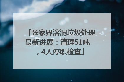 张家界溶洞垃圾处理最新进展：清理51吨，4人停职检查