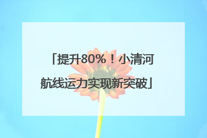 提升80％！小清河航线运力实现新突破