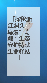 探秘浙江洞头“鸟浪”奇观：生态守护铸就生命驿站