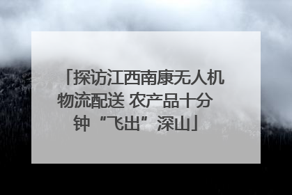 探访江西南康无人机物流配送 农产品十分钟“飞出”深山