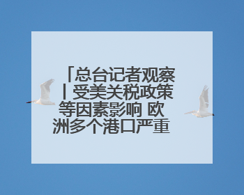 总台记者观察丨受美关税政策等因素影响 欧洲多个港口严重拥堵