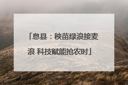 息县：秧苗绿浪接麦浪 科技赋能抢农时