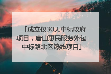 成立仅30天中标政府项目，唐山惠民服务外包中标路北区热线项目