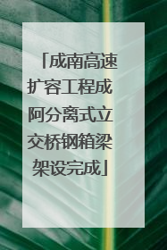 成南高速扩容工程成阿分离式立交桥钢箱梁架设完成