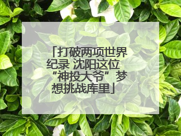 打破两项世界纪录 沈阳这位“神投大爷”梦想挑战库里