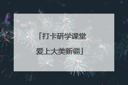 打卡研学课堂 爱上大美新疆