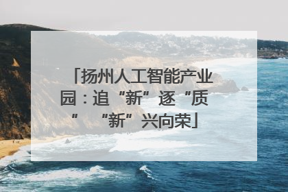 扬州人工智能产业园：追“新”逐“质” “新”兴向荣