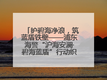 护碧海净浪，筑蓝盾铁壁——浦东海警“沪海安澜·碧海蓝盾”行动织密立体防控网