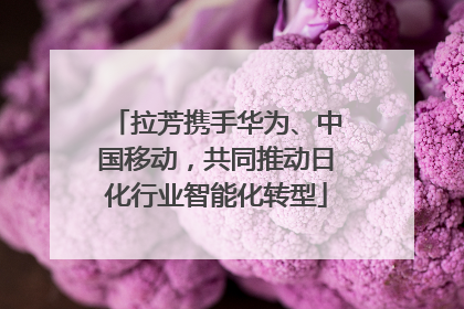 拉芳携手华为、中国移动，共同推动日化行业智能化转型